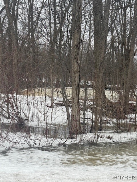 Shelby Basin Road Medina, NY 14103 - Photo 2 of 2 Pond
