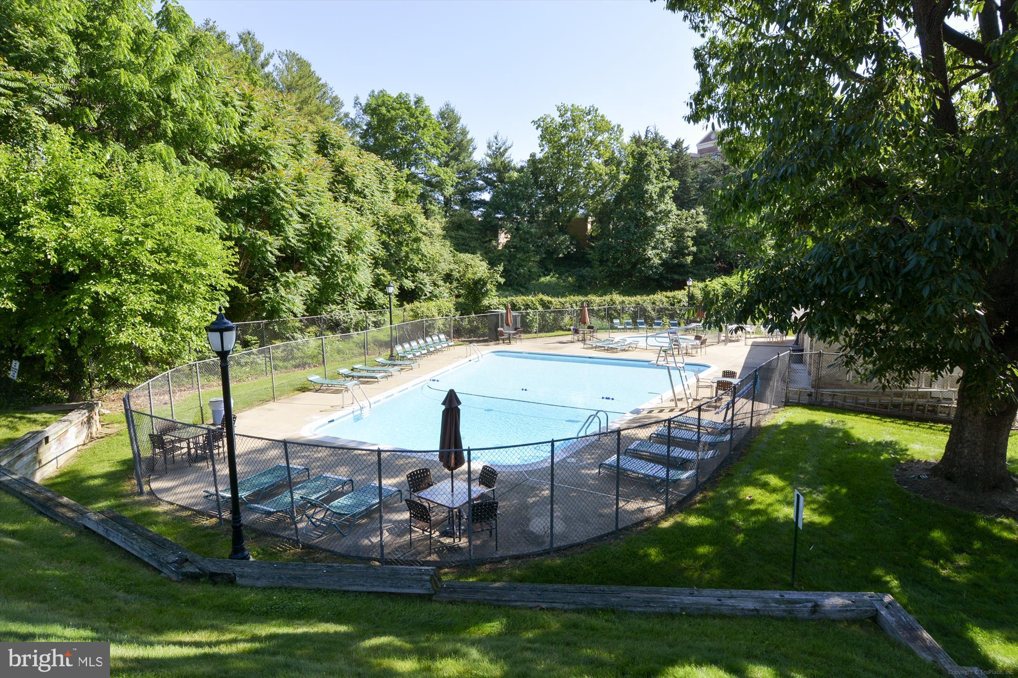 6137 Edsall Road, Unit G Alexandria, VA 22304 - Photo 22 of 23 Edsall Bluff Community Pool