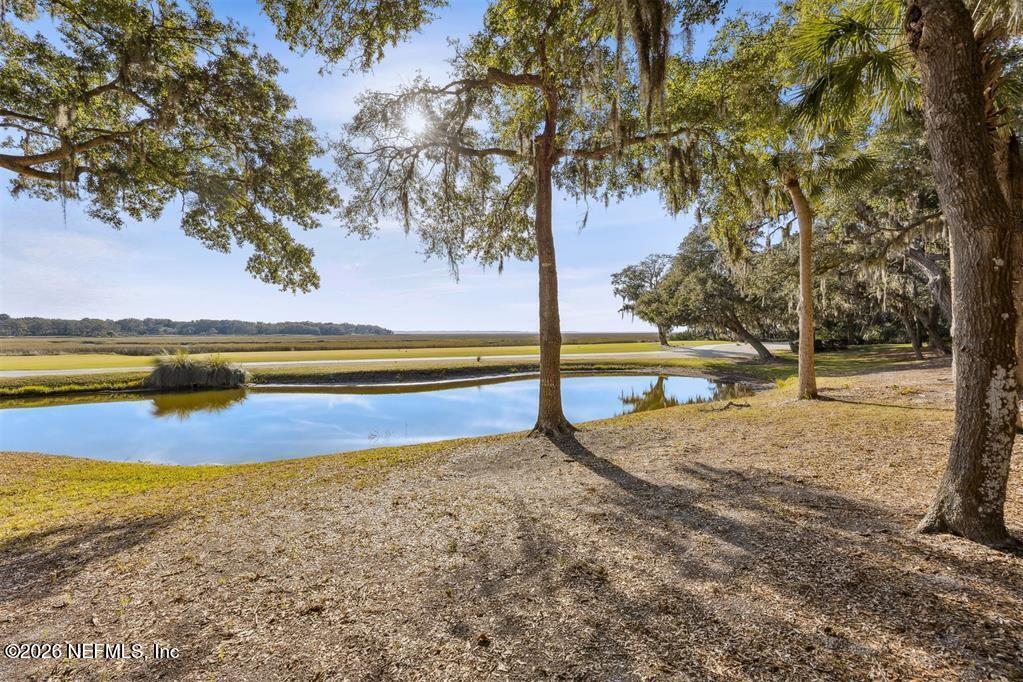 3051 Sea Marsh Road Fernandina Beach, FL 32034 - Photo 25 of 37 a view of swimming pool with trees in the background