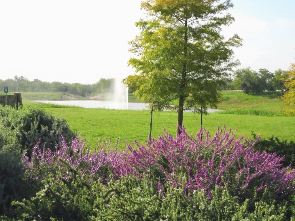 126 Preston Trail San Marcos, TX 78666 - Photo 23 of 24 a view of a lake with a garden