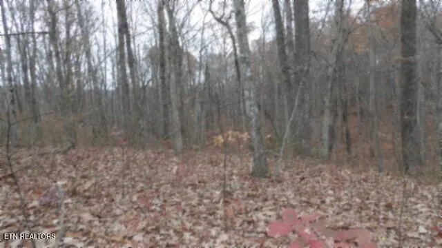 $69,900 | Lot 23 Cumberland Cove Road, Monterey, TN 38574