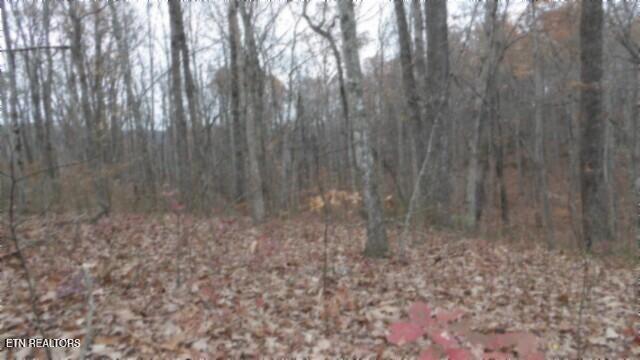 Lot 23 Cumberland Cove Road Monterey, TN 38574 - Photo 1 of 23 100_0088
