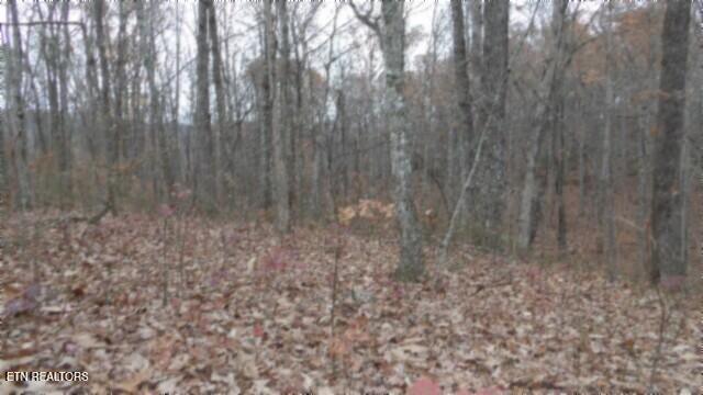 Lot 23 Cumberland Cove Road Monterey, TN 38574 - Photo 11 of 23 100_0091