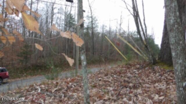 Lot 23 Cumberland Cove Road Monterey, TN 38574 - Photo 13 of 23 100_0093