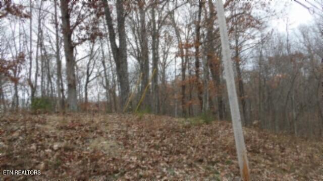Lot 23 Cumberland Cove Road Monterey, TN 38574 - Photo 15 of 23 100_0096
