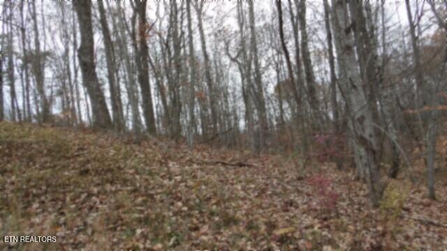Lot 23 Cumberland Cove Road Monterey, TN 38574 - Photo 4 of 23 100_0081