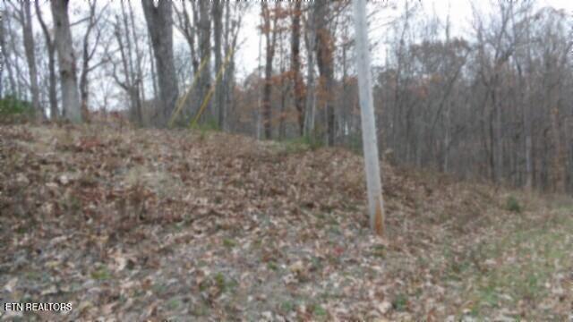 Lot 23 Cumberland Cove Road Monterey, TN 38574 - Photo 6 of 23 100_0084