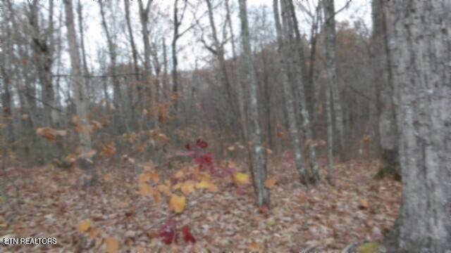 Lot 23 Cumberland Cove Road Monterey, TN 38574 - Photo 8 of 23 100_0086