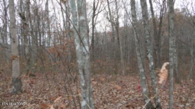 Lot 23 Cumberland Cove Road Monterey, TN 38574 - Photo 9 of 23 100_0087
