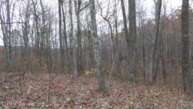 Lot 23 Cumberland Cove Road Monterey, TN 38574 - Photo 10 of 23 100_0090