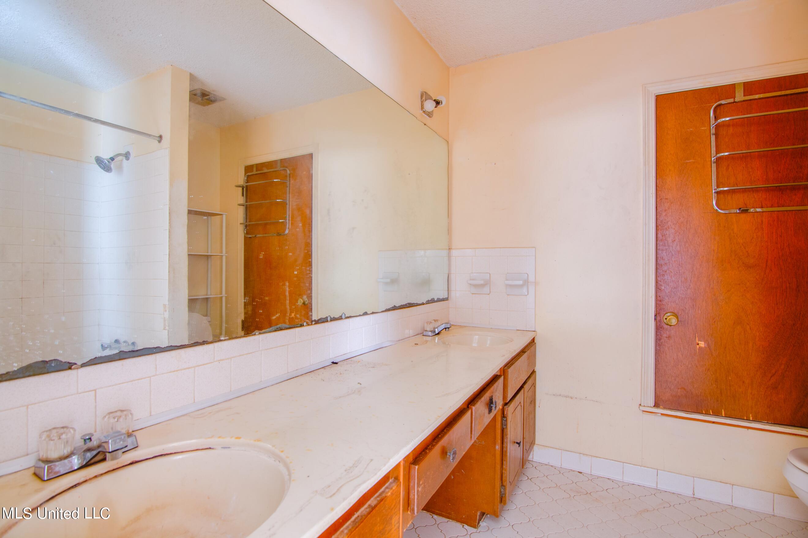 6780 River Birch Road Walls, MS 38680 - Photo 7 of 13 Master Bathroom
