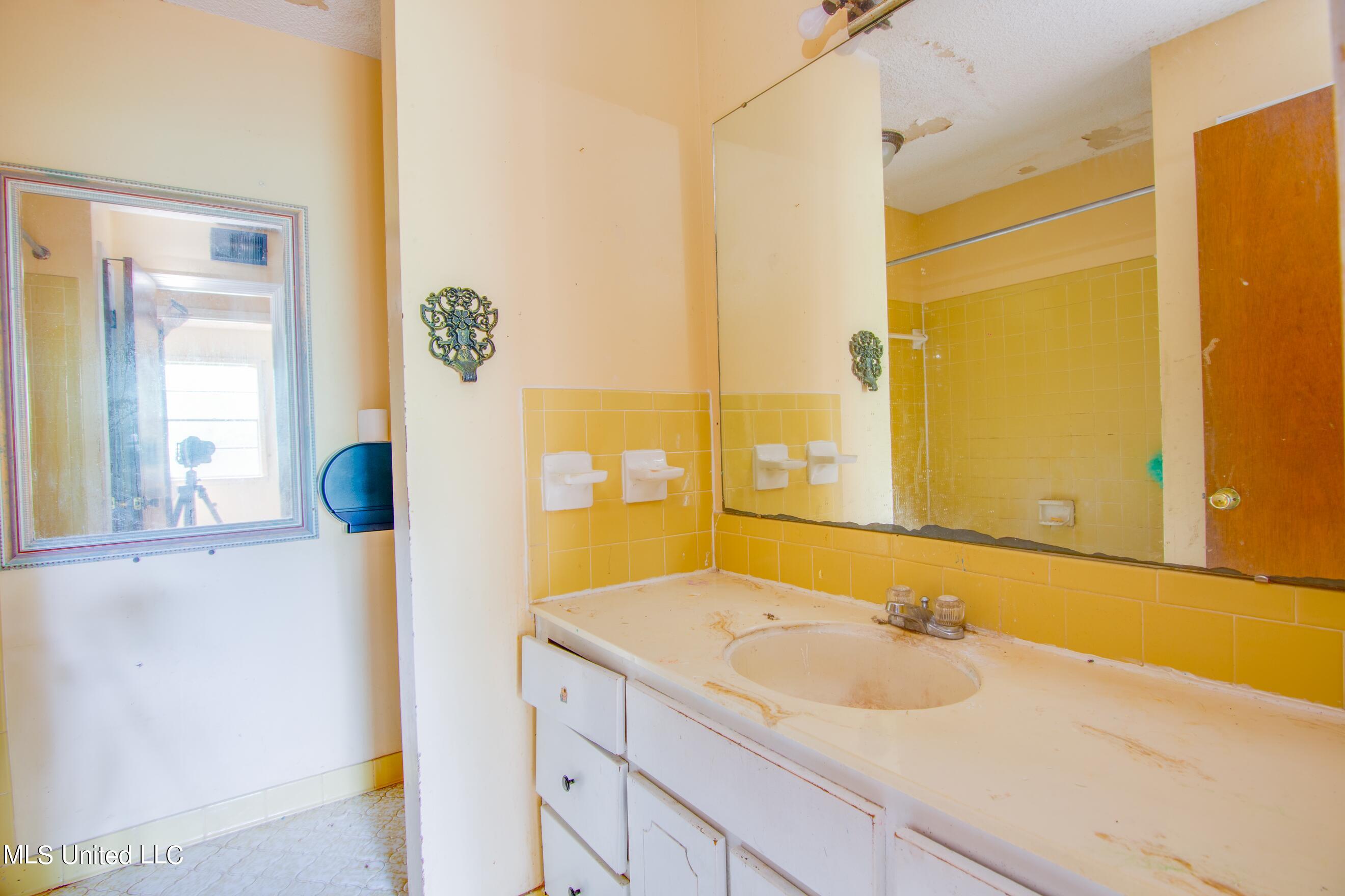 6780 River Birch Road Walls, MS 38680 - Photo 8 of 13 Additional Bathroom