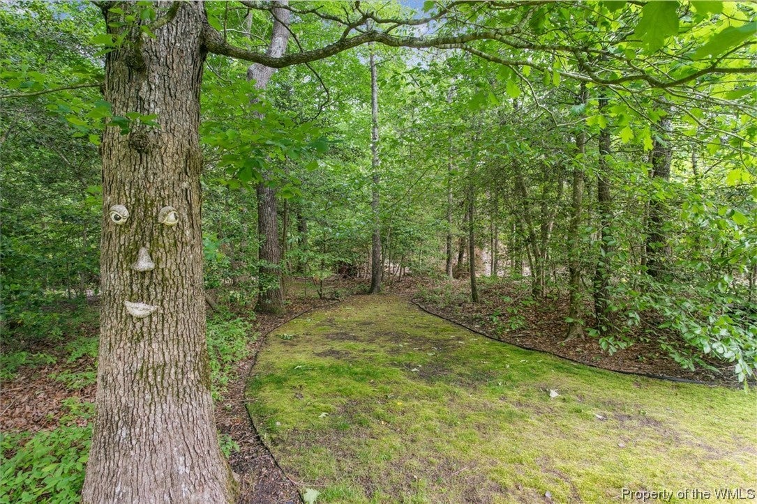 11739 Oakrise Road New Kent, VA 23124 - Photo 37 of 38 Gallery Image 37