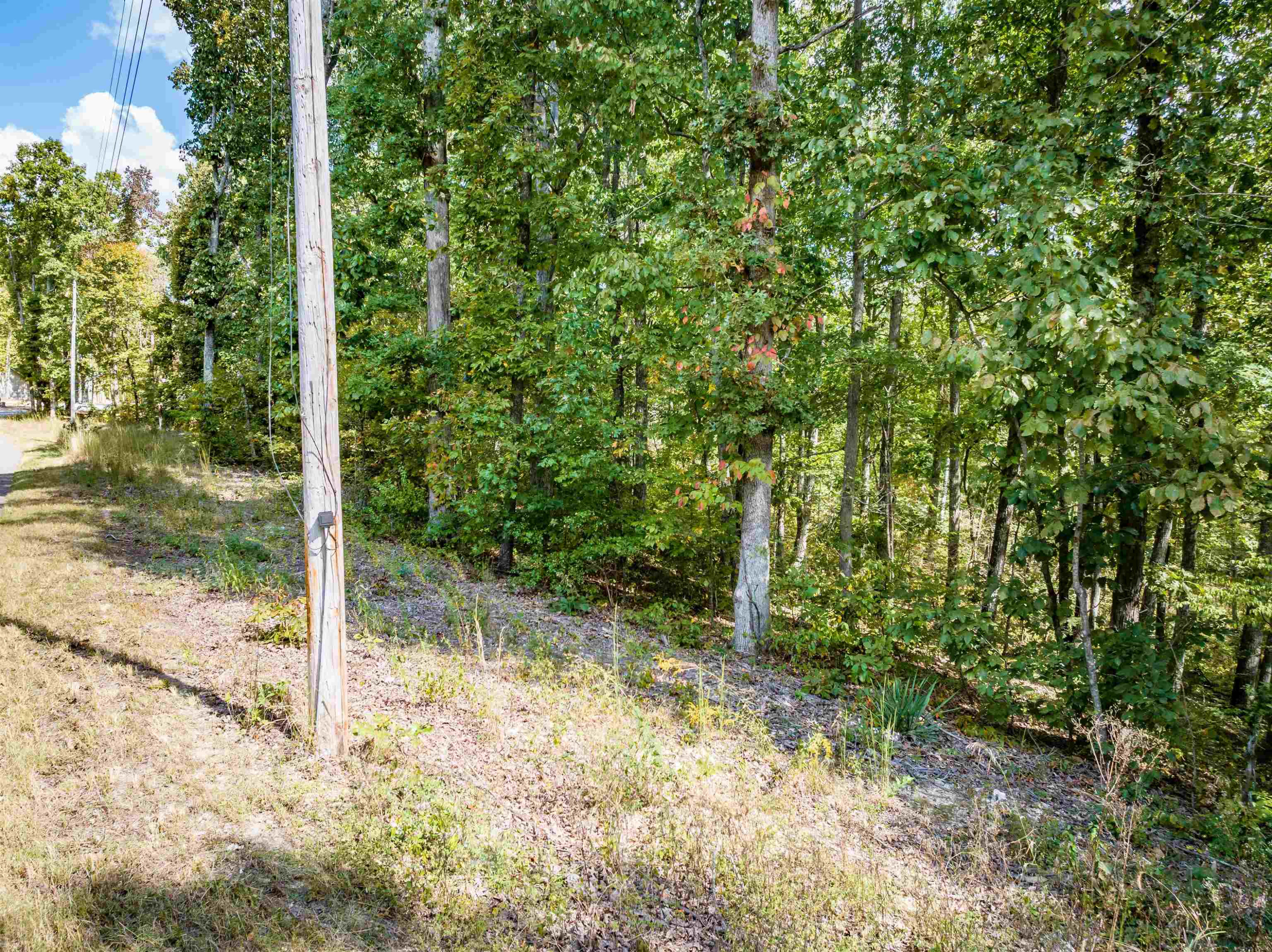 14-16 Ridgeway Drive Sugar Tree, TN 38380 - Photo 5 of 15 Photo 5