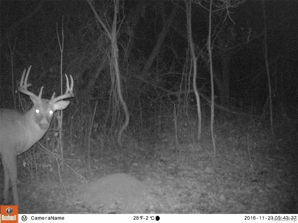 V/l North V/l N South Allen Road Allen, MI 49227 - Photo 3 of 14