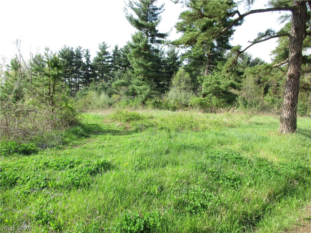 1-2 Warren Chapel Road Fleming, OH 45729 - Photo 2 of 7 Property View
