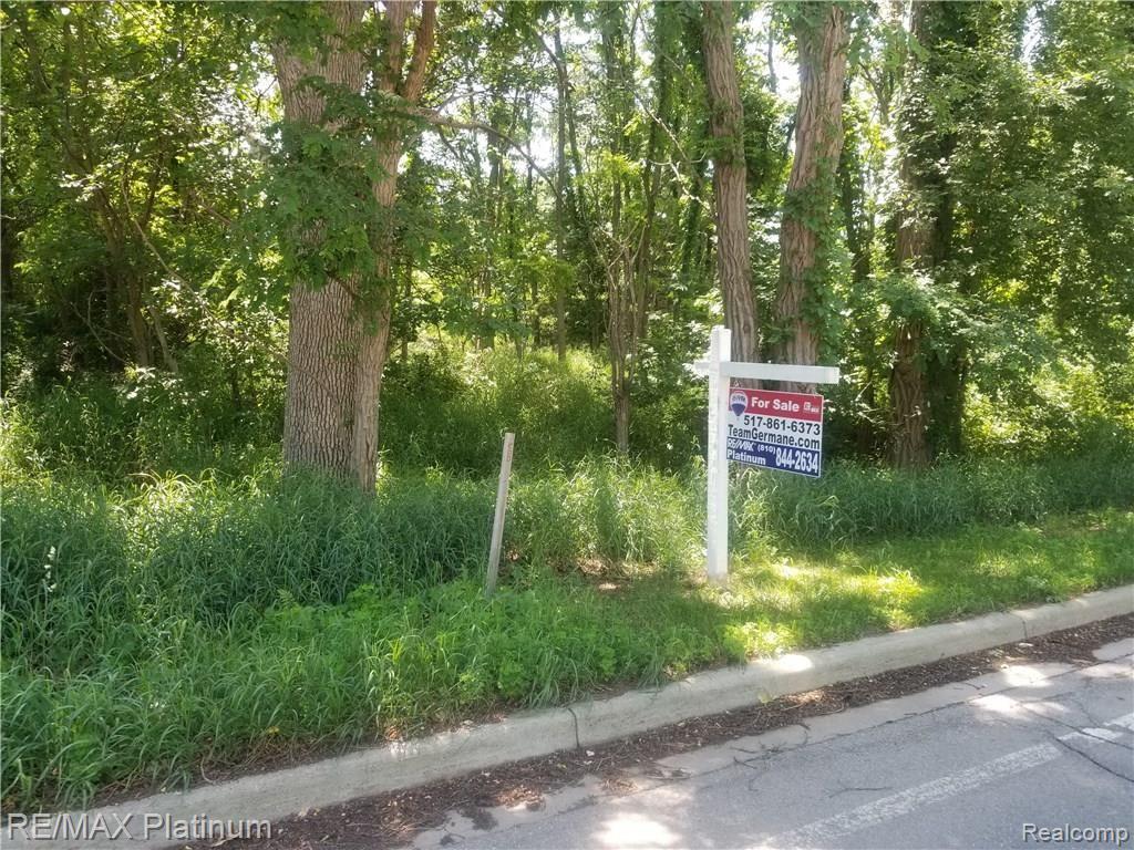 0 Dunham Road Hartland, MI 48353 - Photo 1 of 2