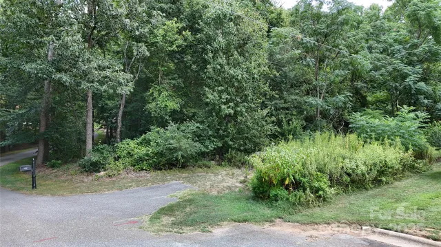 a view of a yard with plants and large trees