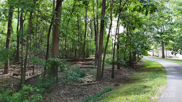 a view of outdoor space and green space