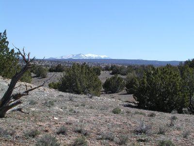 5700 Four Hls Rnch Road Williams, AZ 86046 - Photo 5 of 5 Additional Photo