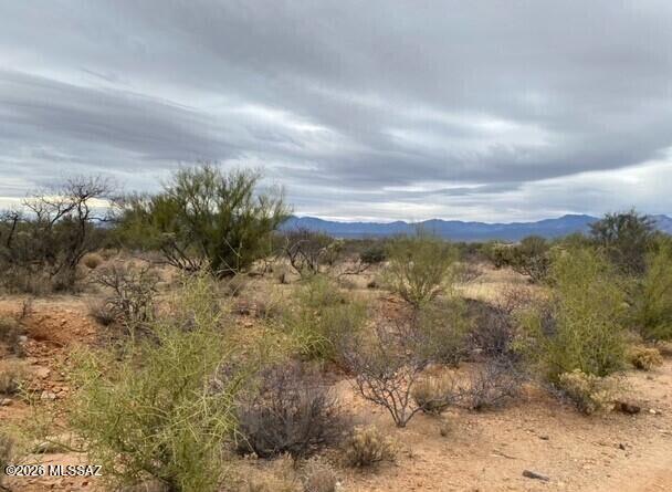14921 West Pyle Road, Unit 498 Tucson, AZ 85736 - Photo 2 of 8