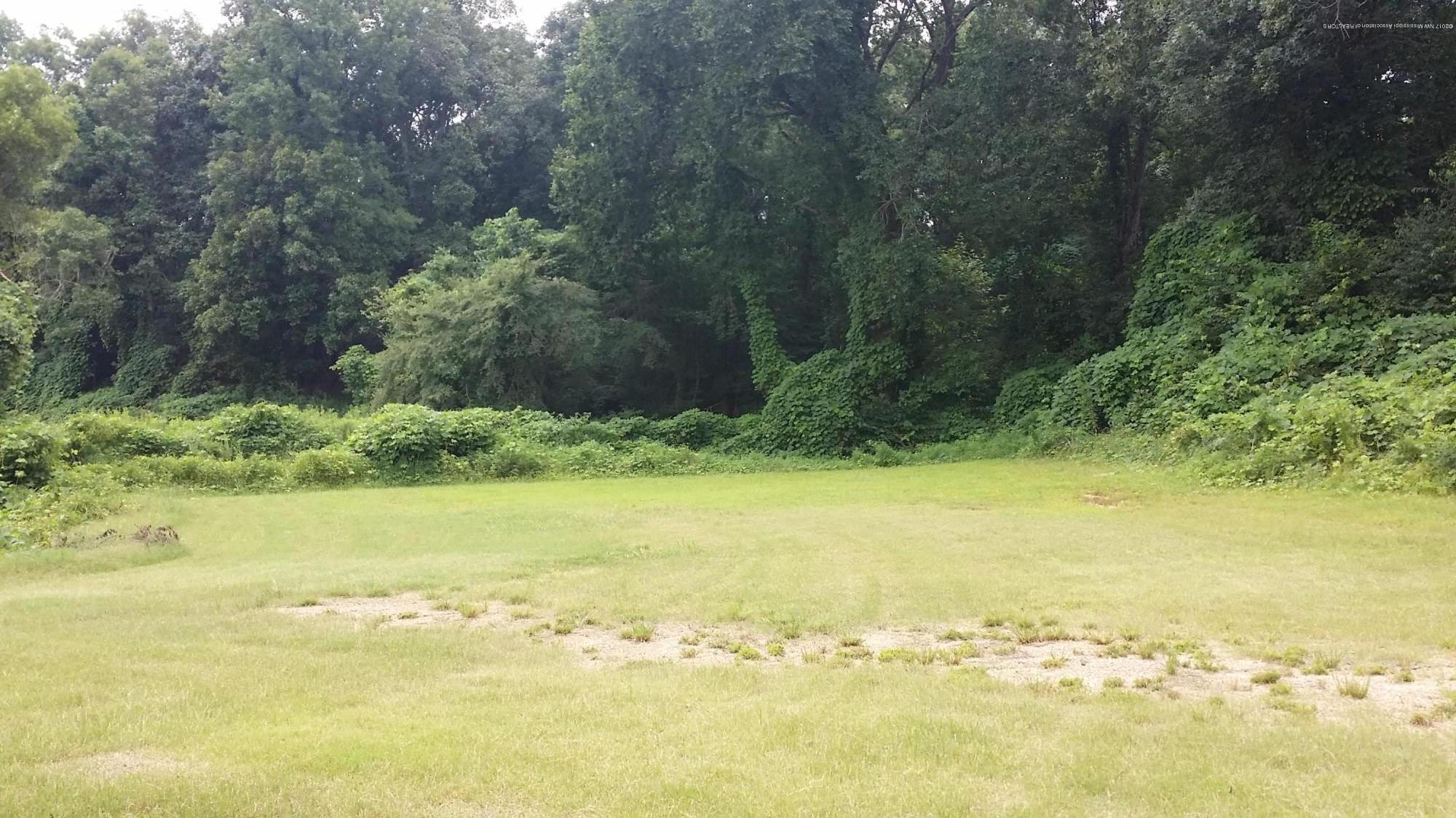 9345 Bethel Road Olive Branch, MS 38654 - Photo 3 of 34 20170719_133021