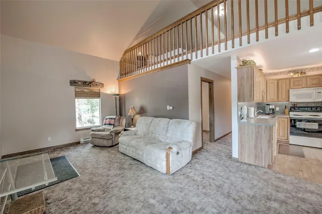 $600,000 | 271 Willow Lane, Alma, CO 80420