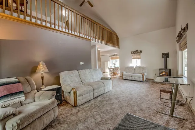 $600,000 | 271 Willow Lane, Alma, CO 80420