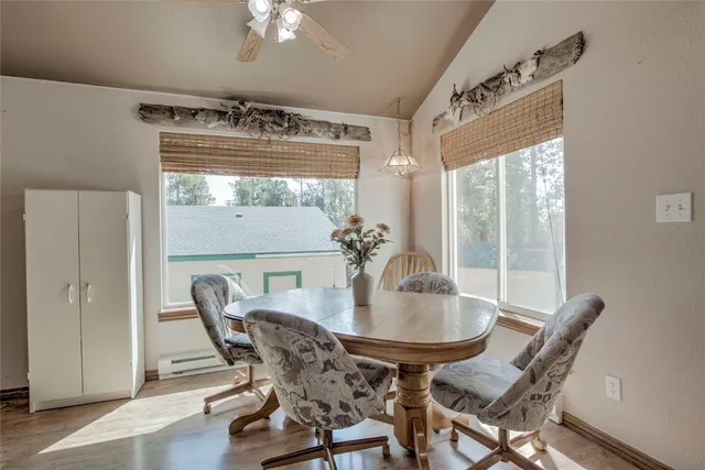 $600,000 | 271 Willow Lane, Alma, CO 80420