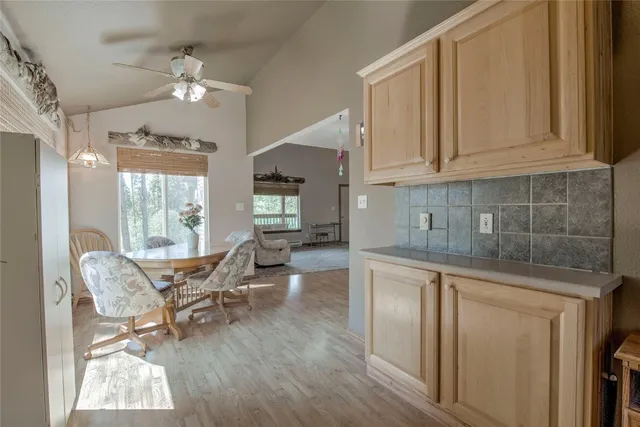 $600,000 | 271 Willow Lane, Alma, CO 80420