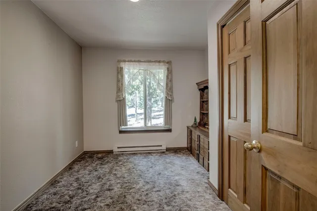 $600,000 | 271 Willow Lane, Alma, CO 80420