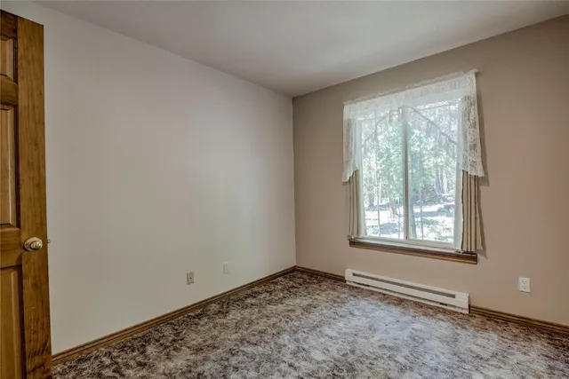 $600,000 | 271 Willow Lane, Alma, CO 80420