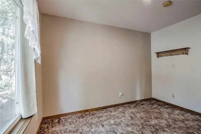 $600,000 | 271 Willow Lane, Alma, CO 80420