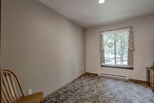 $600,000 | 271 Willow Lane, Alma, CO 80420