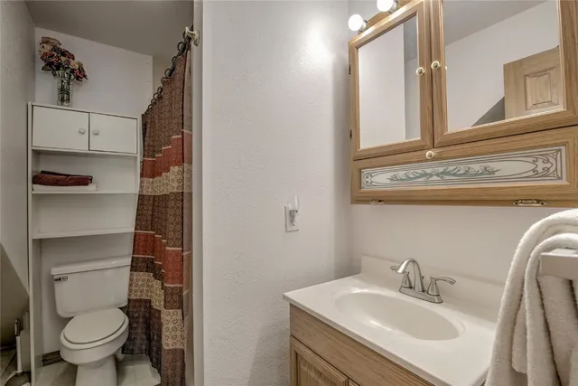 $600,000 | 271 Willow Lane, Alma, CO 80420