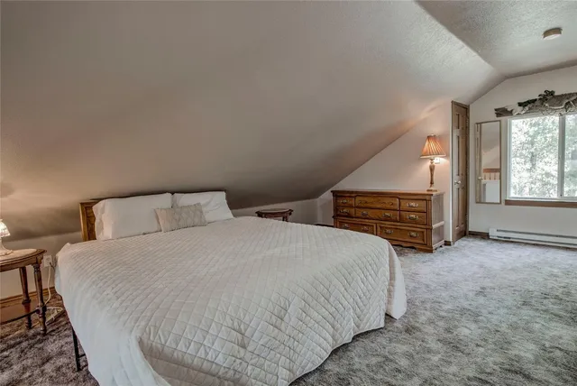 $600,000 | 271 Willow Lane, Alma, CO 80420