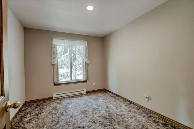 $600,000 | 271 Willow Lane, Alma, CO 80420