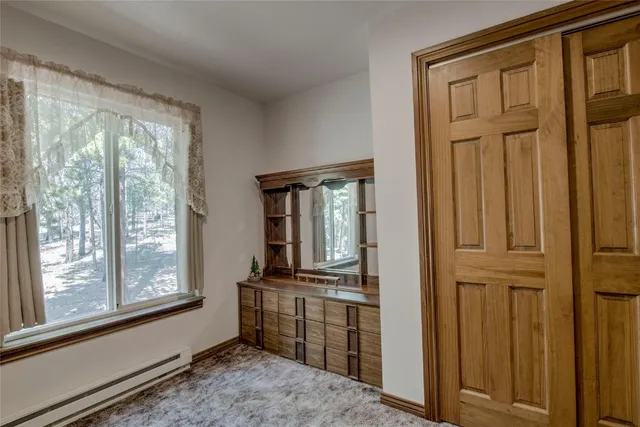 $600,000 | 271 Willow Lane, Alma, CO 80420