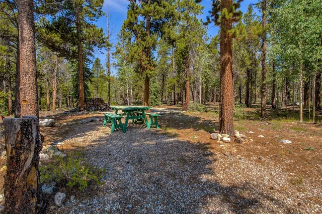 $600,000 | 271 Willow Lane, Alma, CO 80420