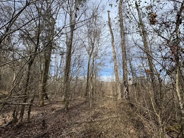 $108,900 | 52 St Raleigh Ms 39153, Raleigh, MS 39153