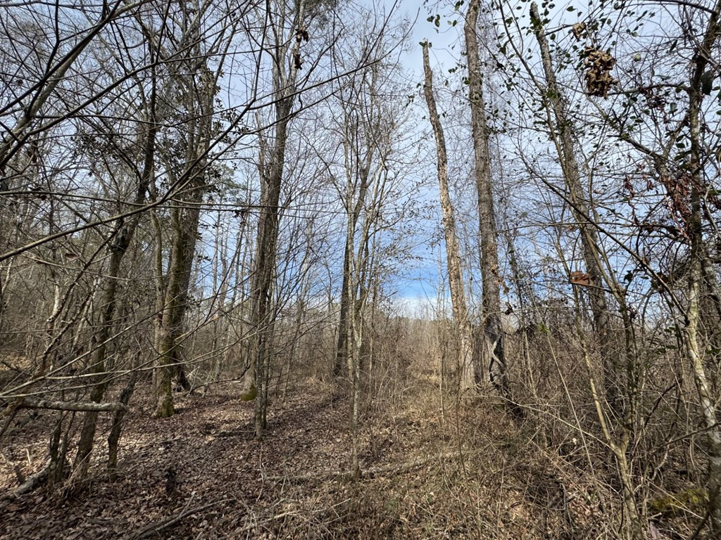 52 St Raleigh Ms 39153 Raleigh, MS 39153 - Photo 2 of 10 Photo 2