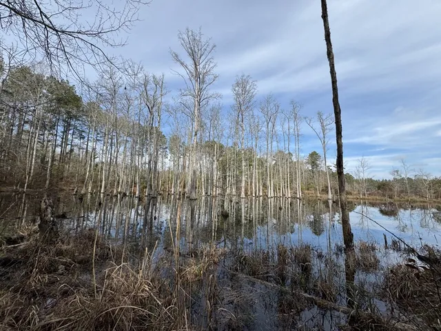 $108,900 | 52 St Raleigh Ms 39153, Raleigh, MS 39153