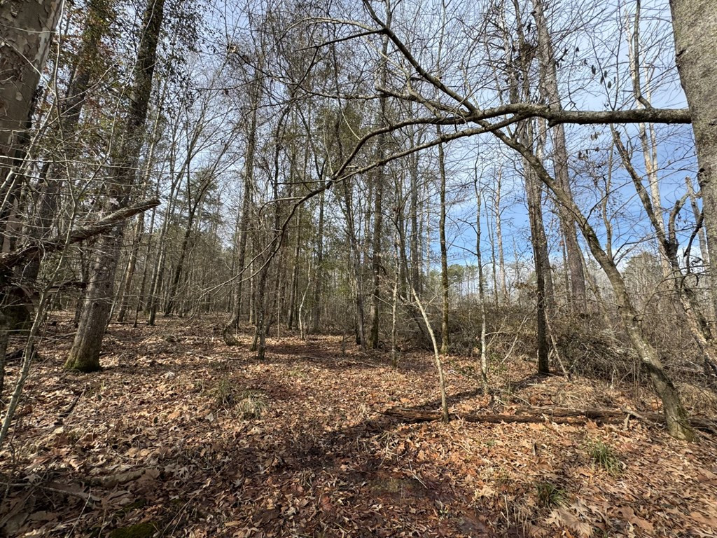 52 St Raleigh Ms 39153 Raleigh, MS 39153 - Photo 4 of 10 Photo 4