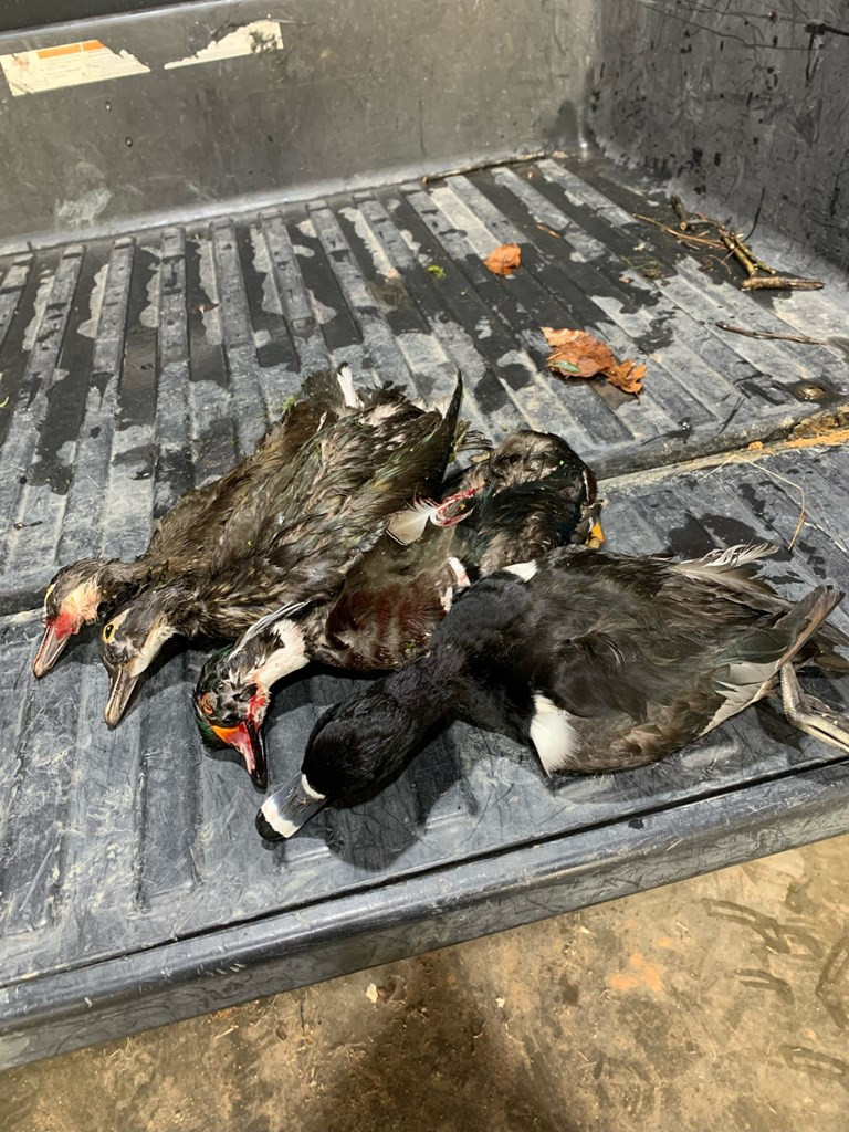 52 St Raleigh Ms 39153 Raleigh, MS 39153 - Photo 6 of 10 Photo 6