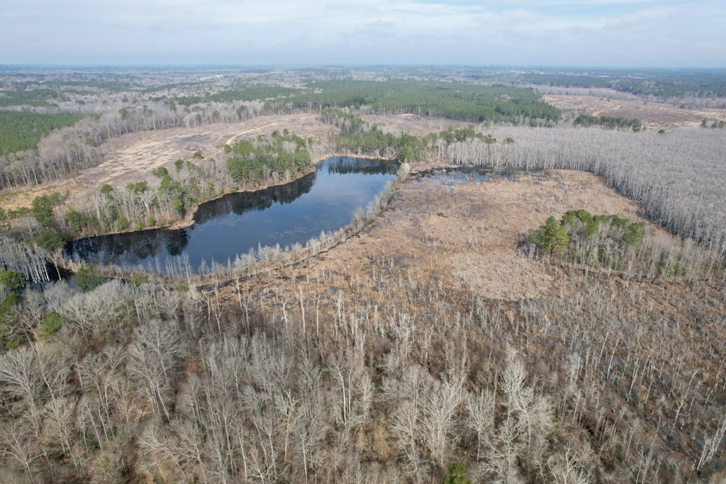 52 St Raleigh Ms 39153 Raleigh, MS 39153 - Photo 8 of 10 Photo 9