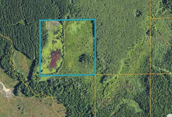 52 St Raleigh Ms 39153 Raleigh, MS 39153 - Photo 10 of 10 Photo 11