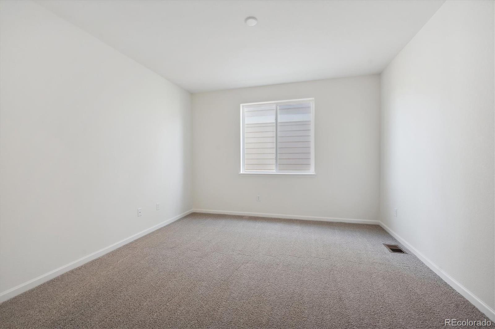 963 Rustling Street Windsor, CO 80550 - Photo 7 of 23 Gallery Image 7