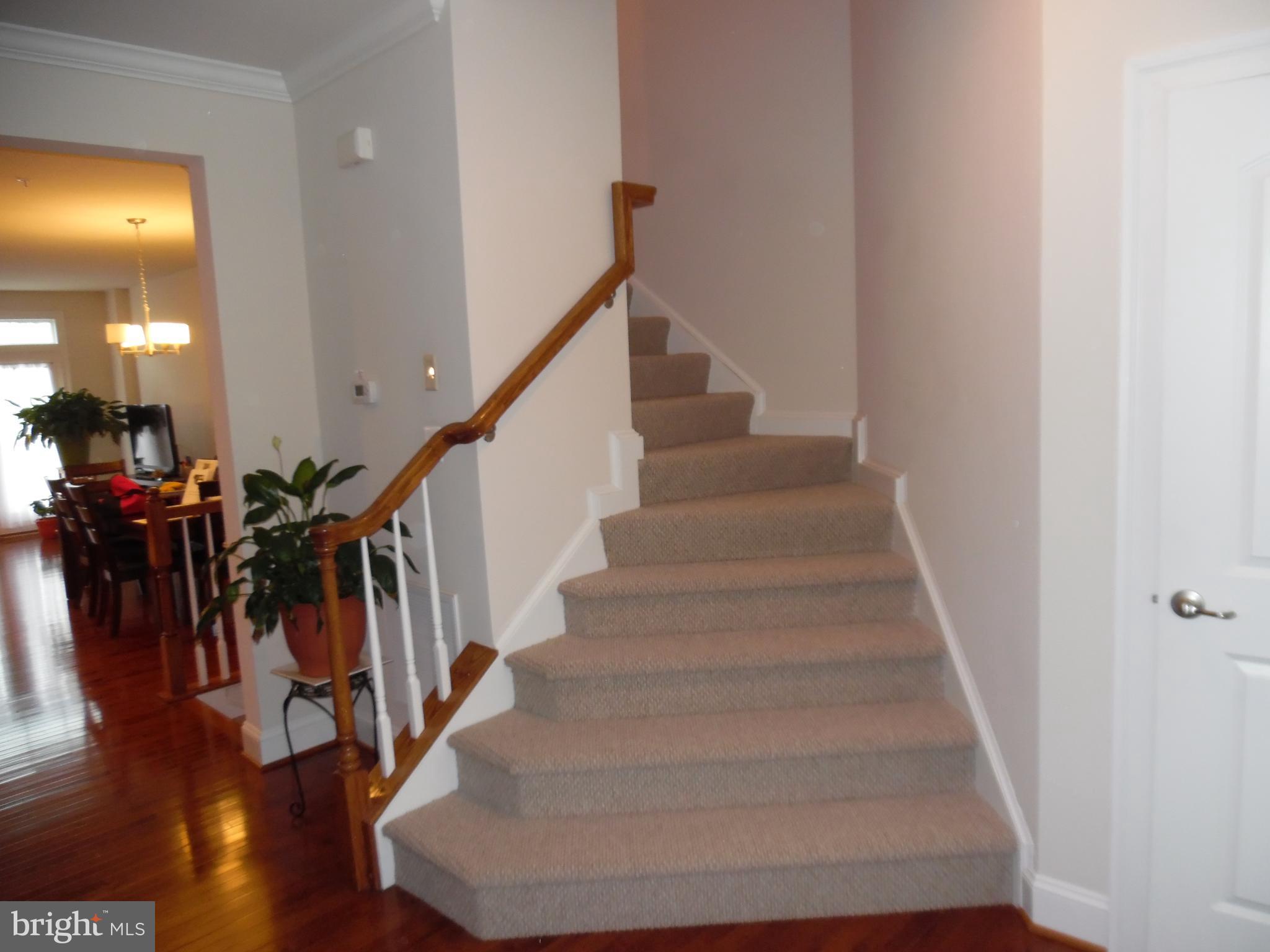 3577 Sprigg Street South Frederick, MD 21704 - Photo 5 of 16 elegant staircase