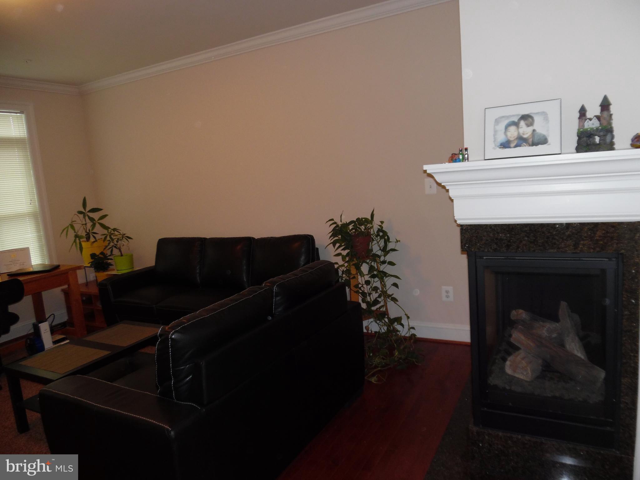 3577 Sprigg Street South Frederick, MD 21704 - Photo 7 of 16 Living Room with corner Gas fireplace