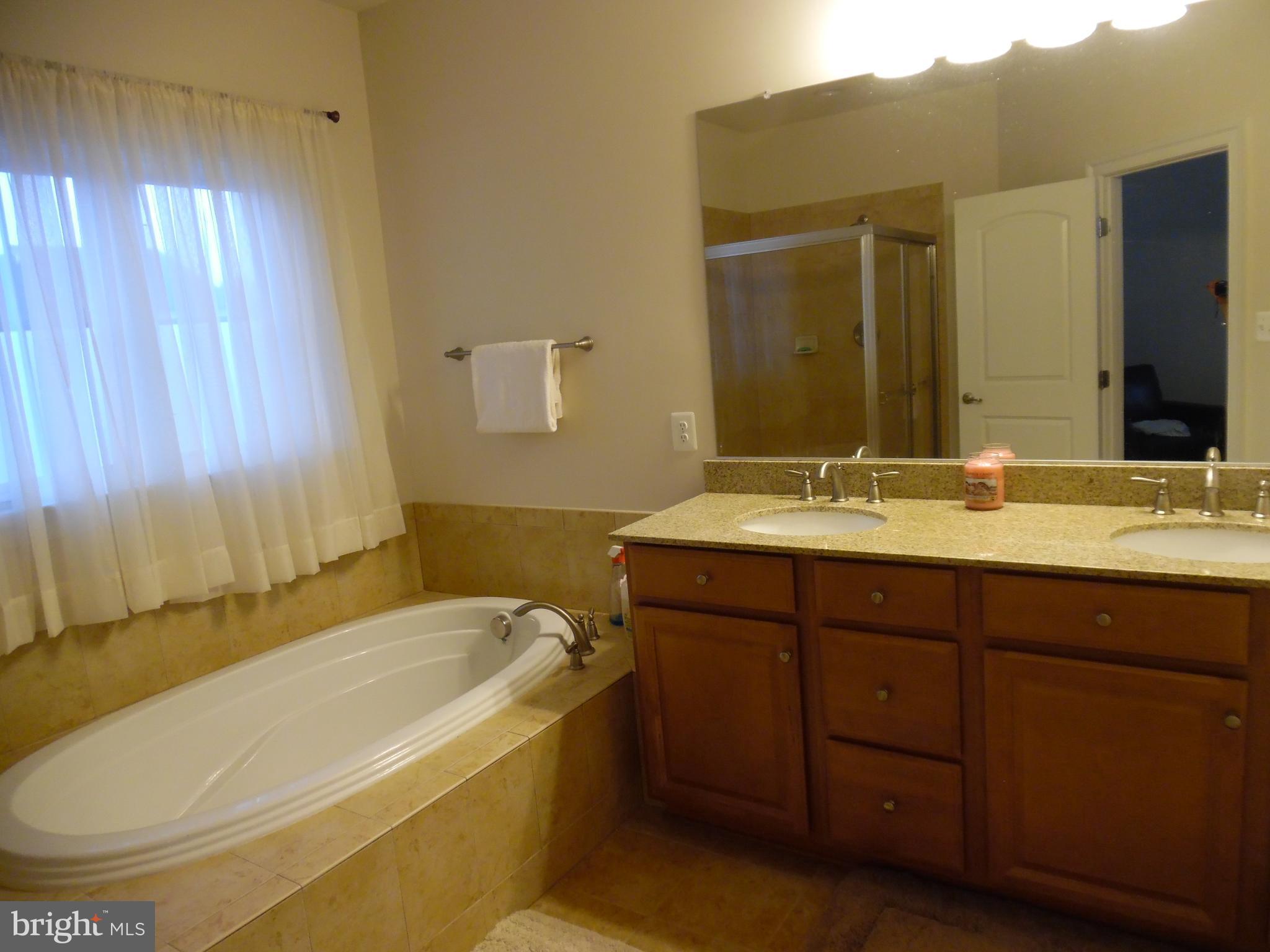 3577 Sprigg Street South Frederick, MD 21704 - Photo 8 of 16 Separate yub in the master bath